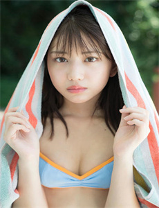 双面胶 高清